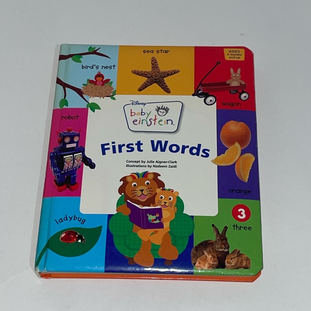 Disney First Words Baby Einstein Book Toddler Baby Kids  2008 Language Education